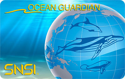 Brevetto Ocean Guardian